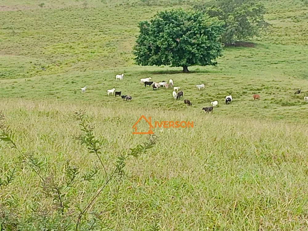 Fazenda, 114 hectares - Foto 2