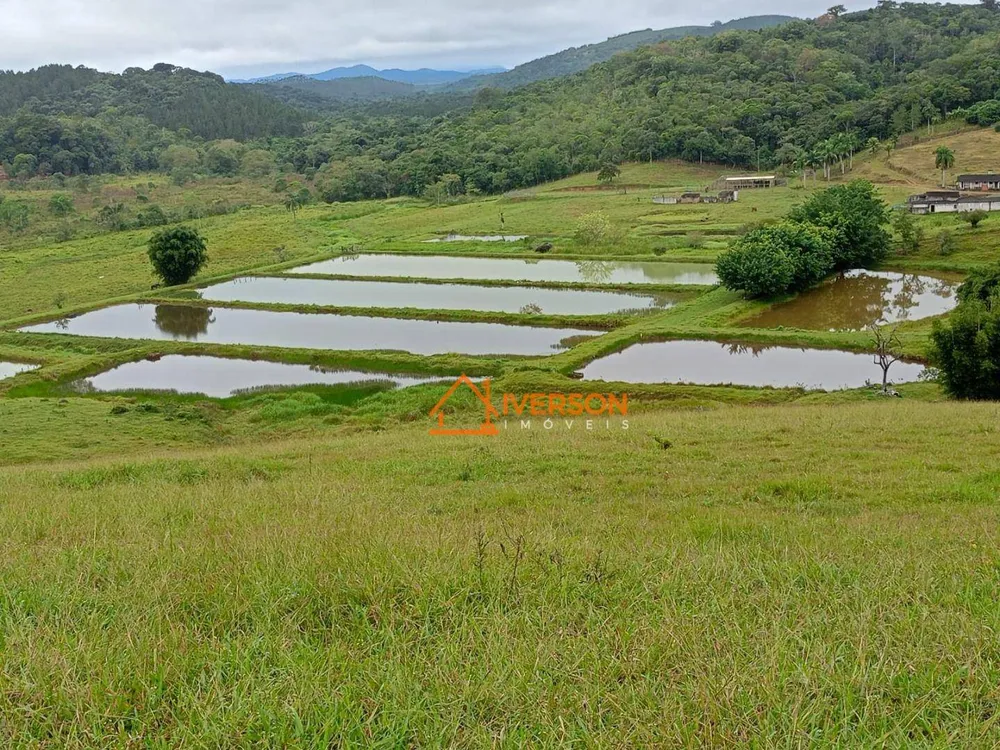 Fazenda, 114 hectares - Foto 4