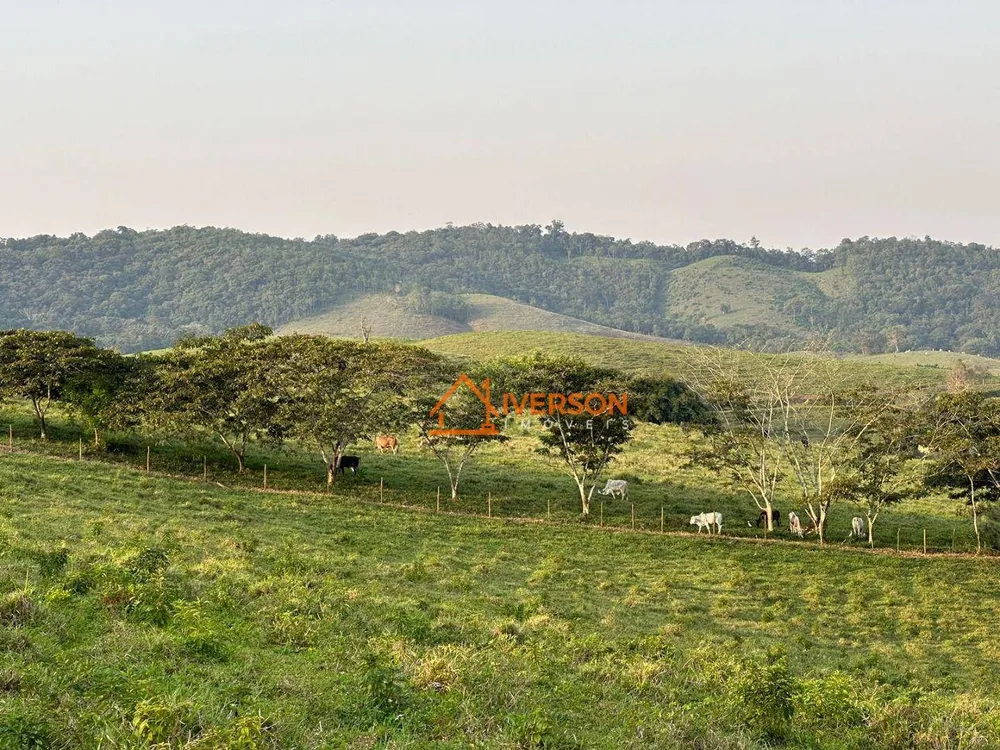 Fazenda, 114 hectares - Foto 4