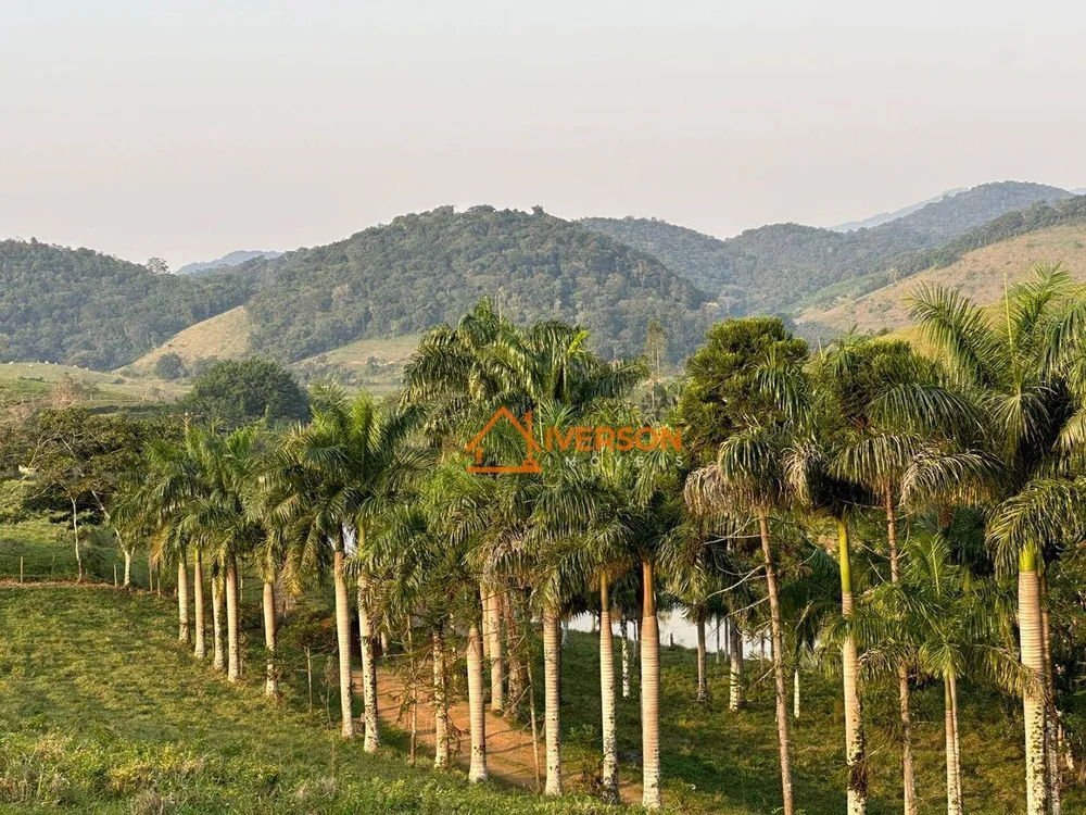 Fazenda, 114 hectares - Foto 8
