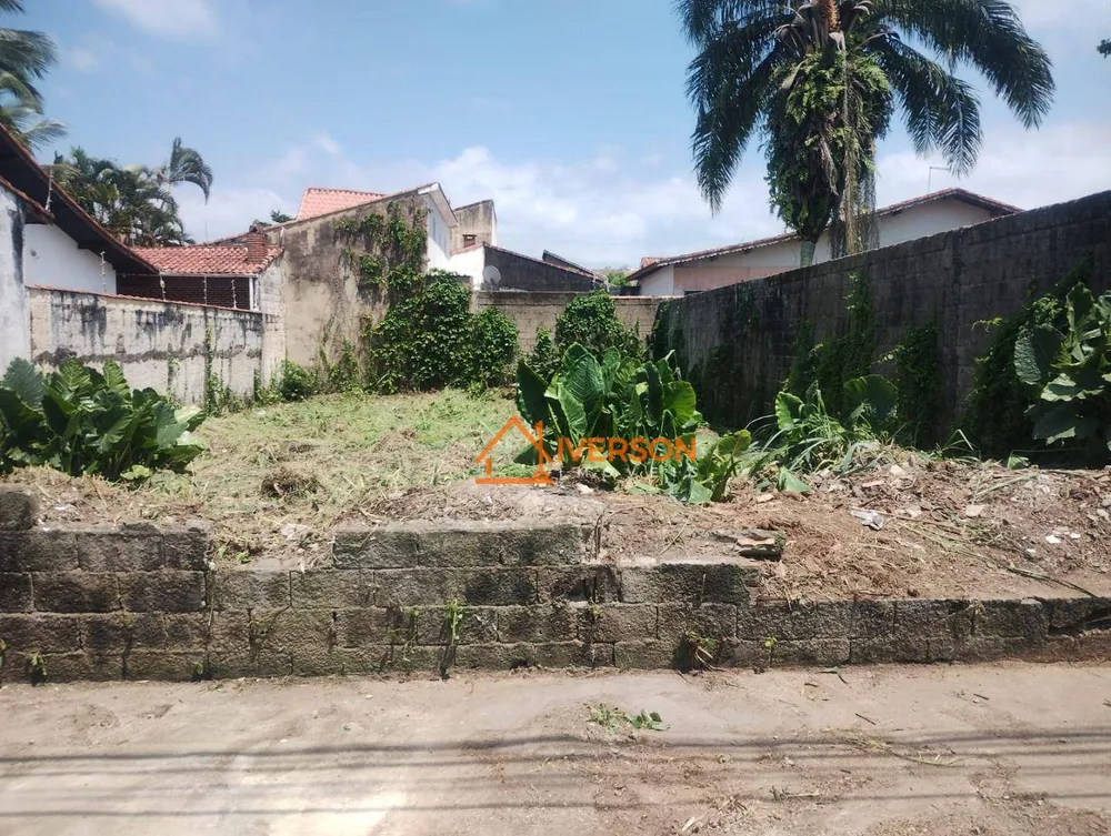 Terreno, 300 m² - Foto 2
