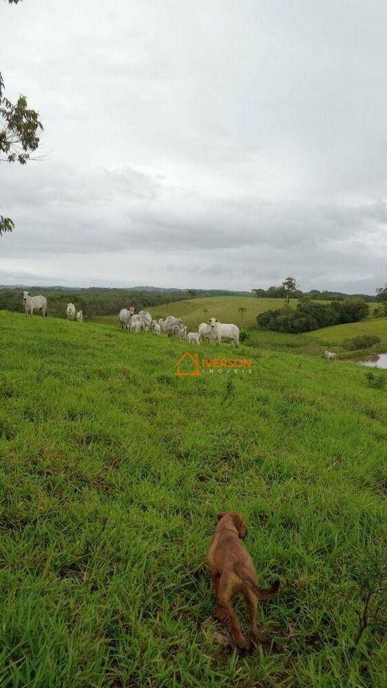 Fazenda, 266 hectares - Foto 9