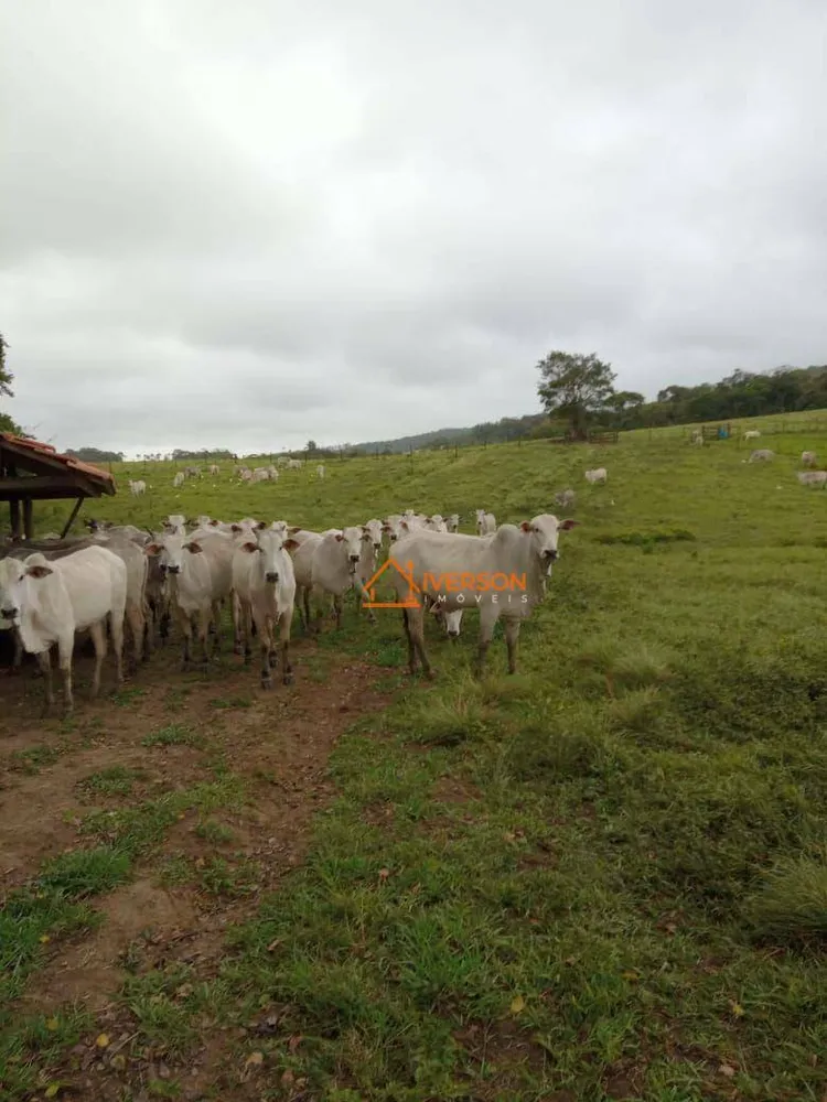 Fazenda, 266 hectares - Foto 7