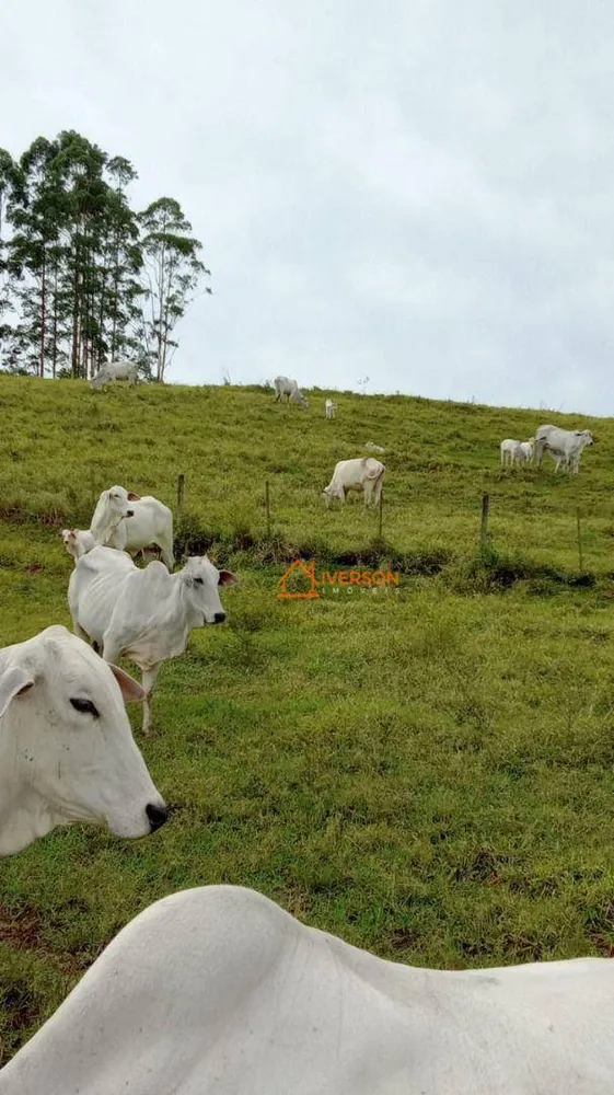 Fazenda, 266 hectares - Foto 8