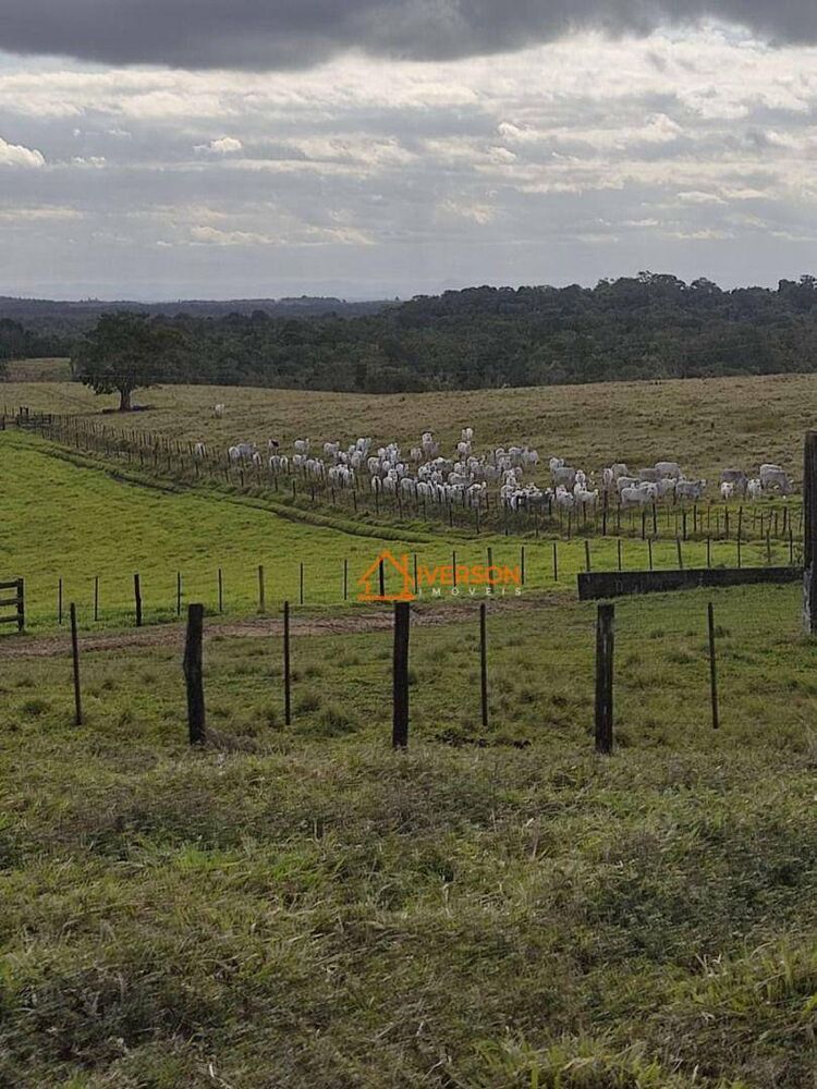 Fazenda, 266 hectares - Foto 1