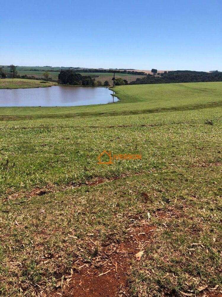 Fazenda, 266 hectares - Foto 10