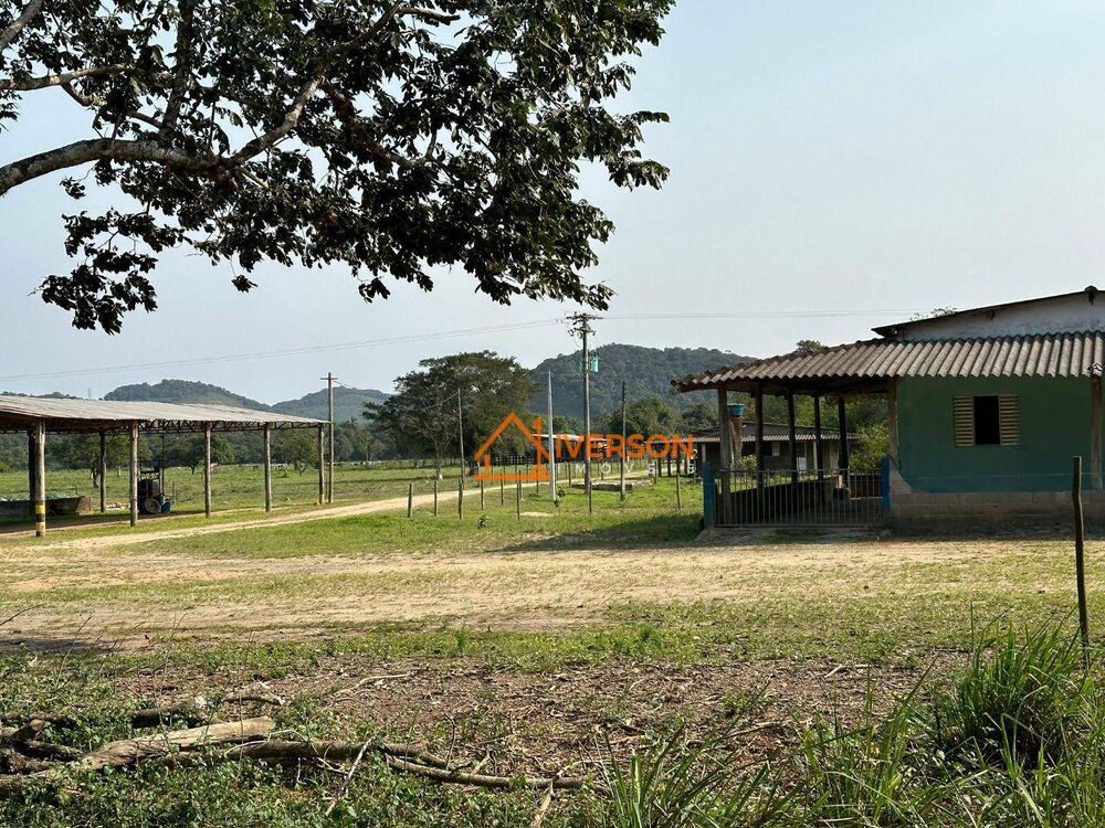 Fazenda, 61 hectares - Foto 6