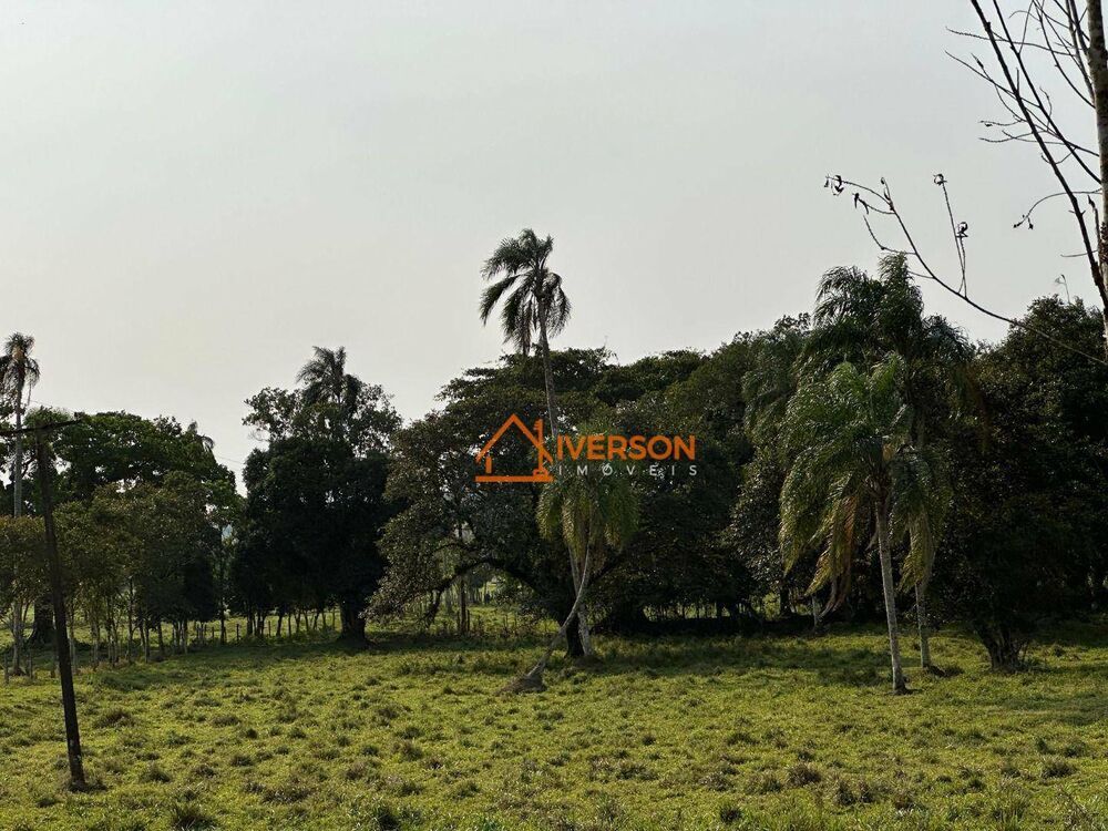 Fazenda, 61 hectares - Foto 5