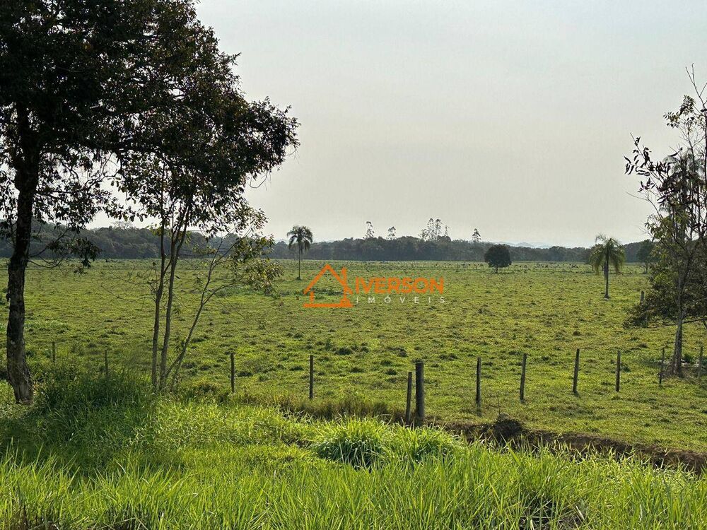 Fazenda, 61 hectares - Foto 7