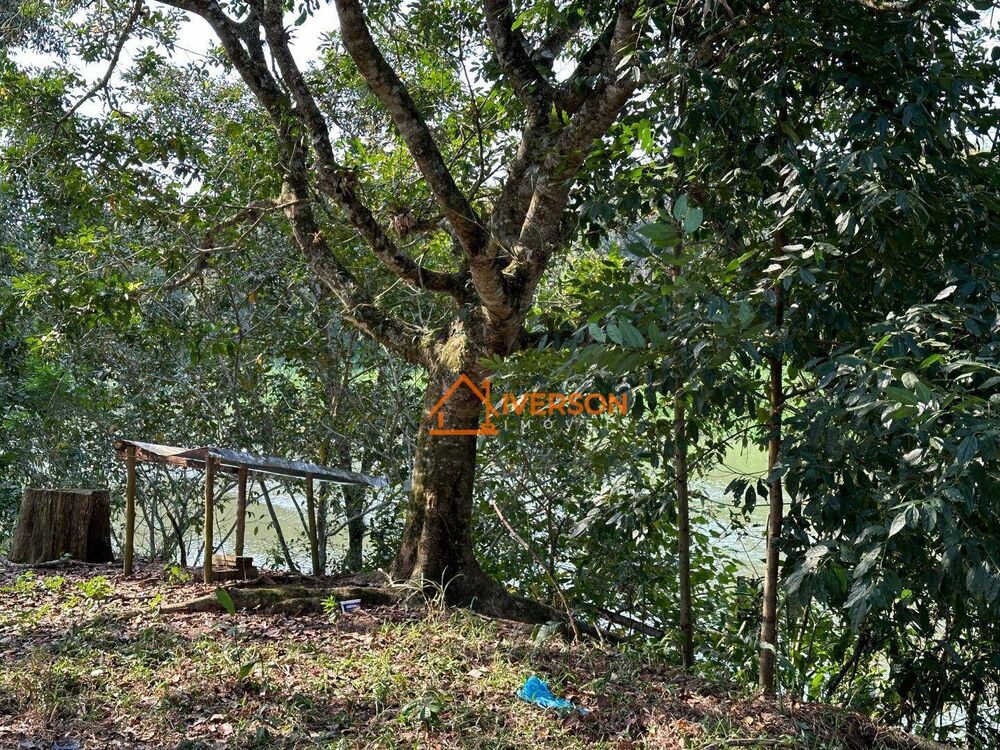 Fazenda, 61 hectares - Foto 13