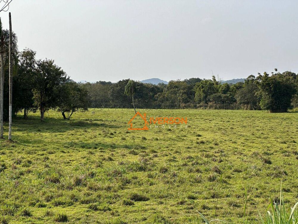 Fazenda, 61 hectares - Foto 10