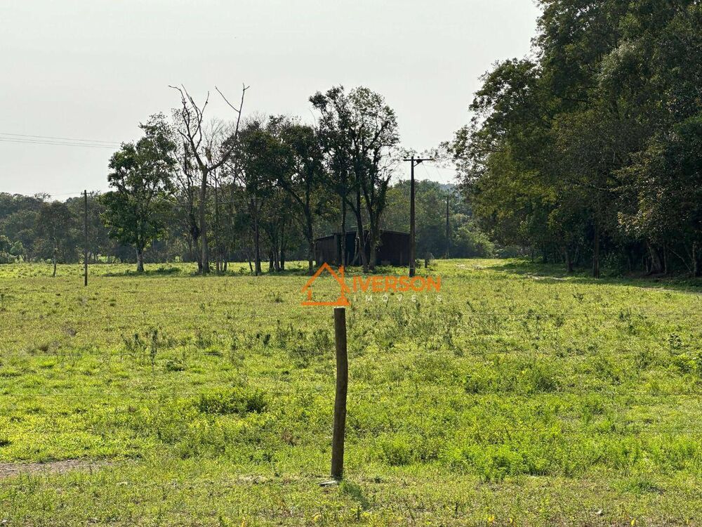 Fazenda, 61 hectares - Foto 12