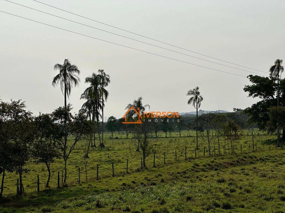 Fazenda, 61 hectares - Foto 4