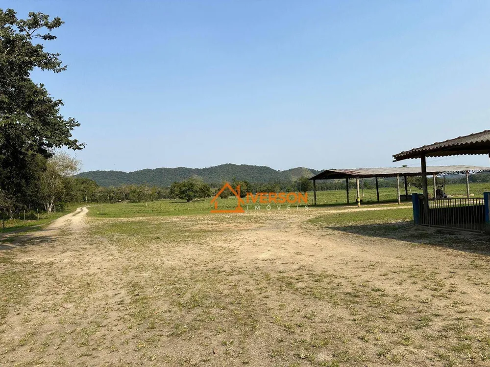 Fazenda, 61 hectares - Foto 14