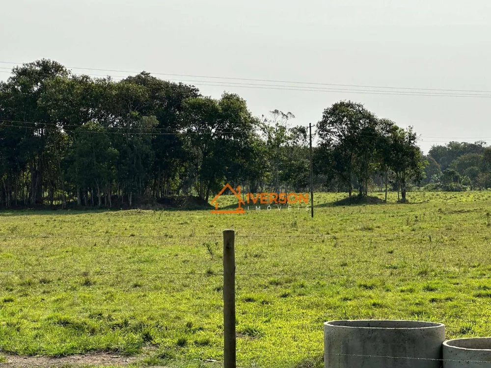 Fazenda, 61 hectares - Foto 13