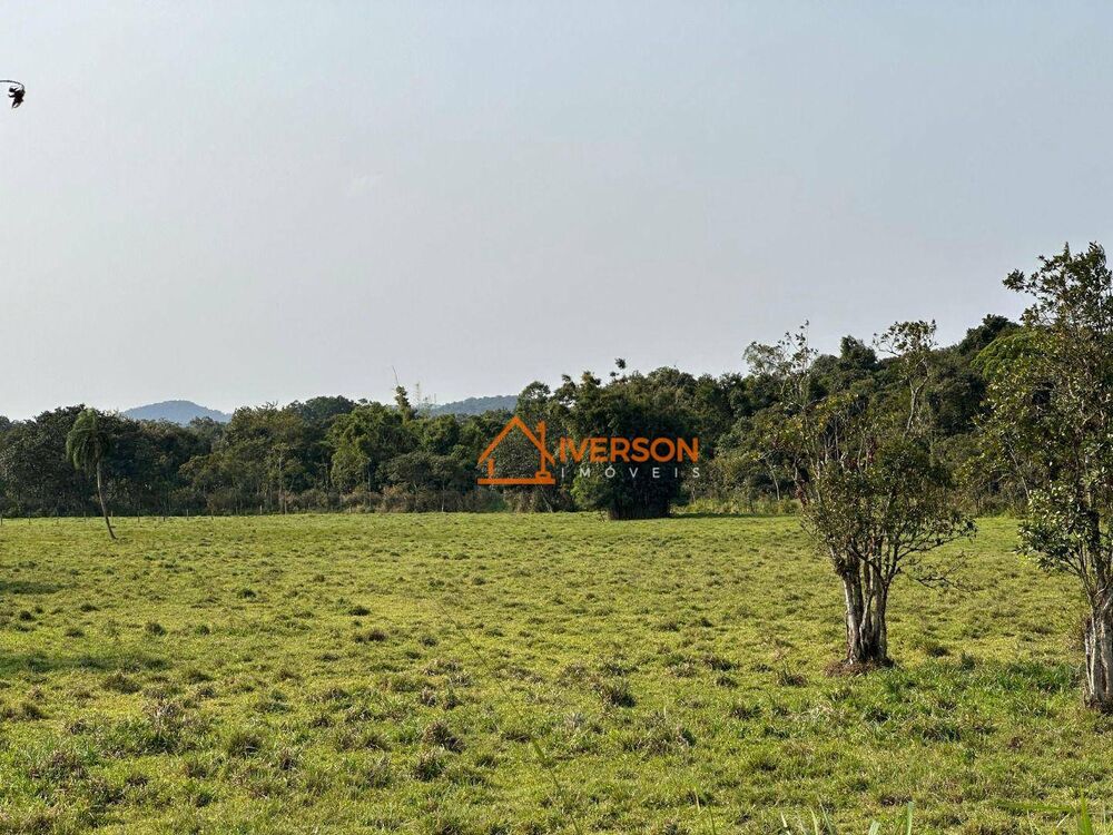 Fazenda, 61 hectares - Foto 8