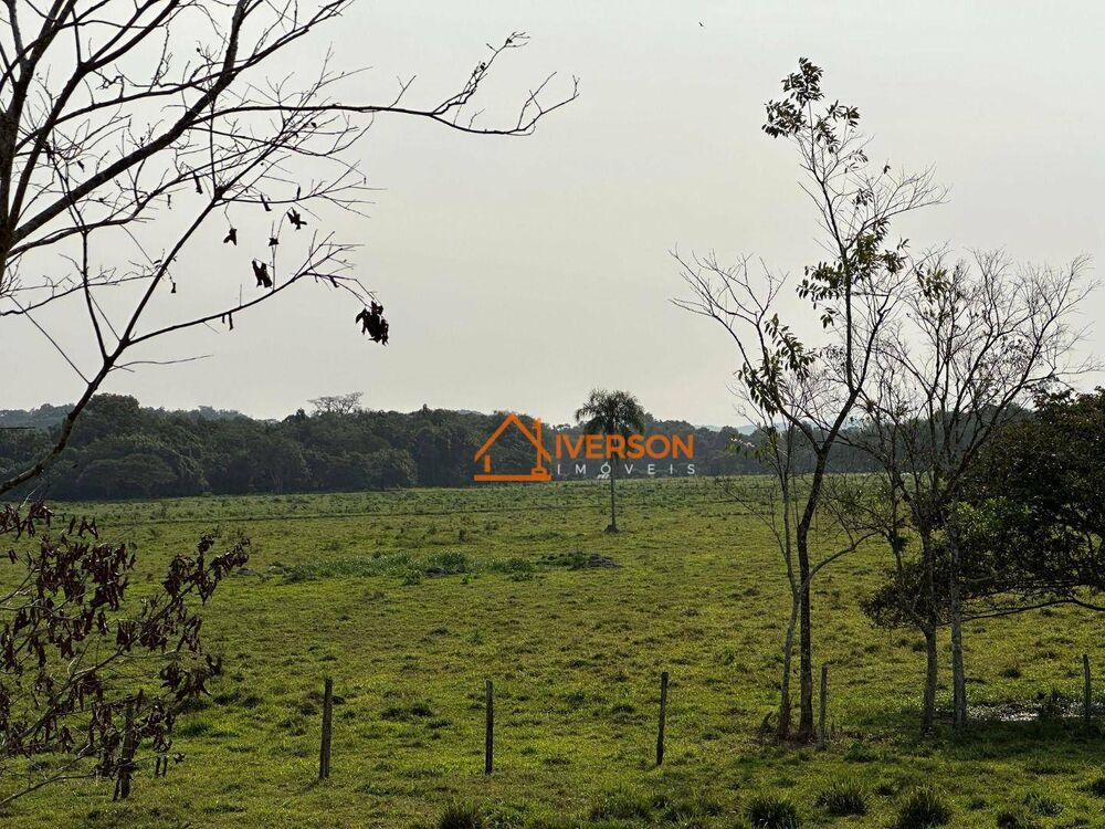 Fazenda, 61 hectares - Foto 3