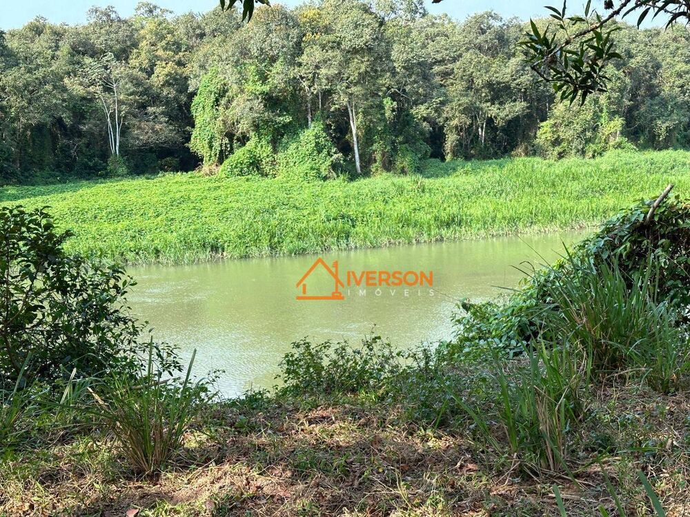 Fazenda, 61 hectares - Foto 15