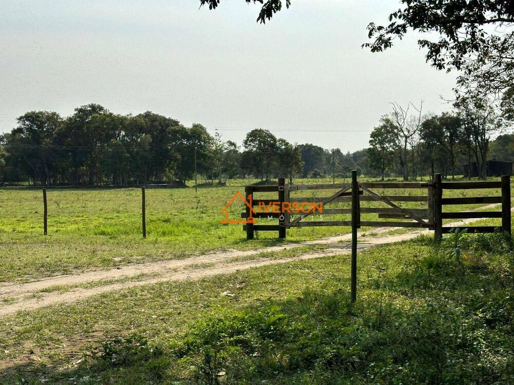 Fazenda, 61 hectares - Foto 14