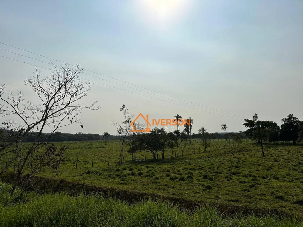Fazenda, 61 hectares - Foto 12