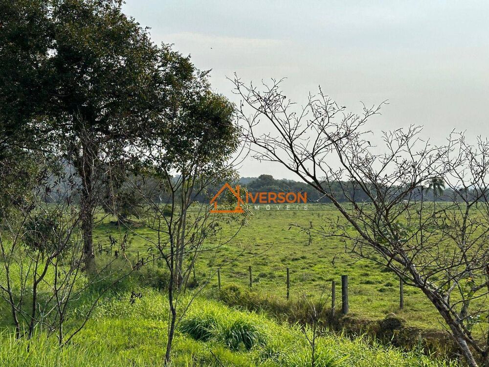 Fazenda, 61 hectares - Foto 11
