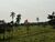 Fazenda-Sítio-Chácara, 61 hectares - Foto 4