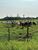 Fazenda-Sítio-Chácara, 61 hectares - Foto 2