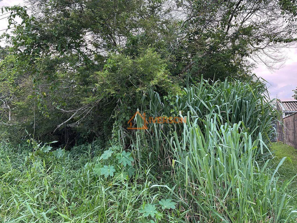Terreno, 270 m² - Foto 4