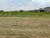 Loteamento e Condomínio, 300 m² - Foto 2