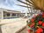 Chácara, 4 quartos, 3000 m² - Foto 6