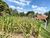 Terreno, 978 m² - Foto 3