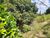 Terreno, 978 m² - Foto 8
