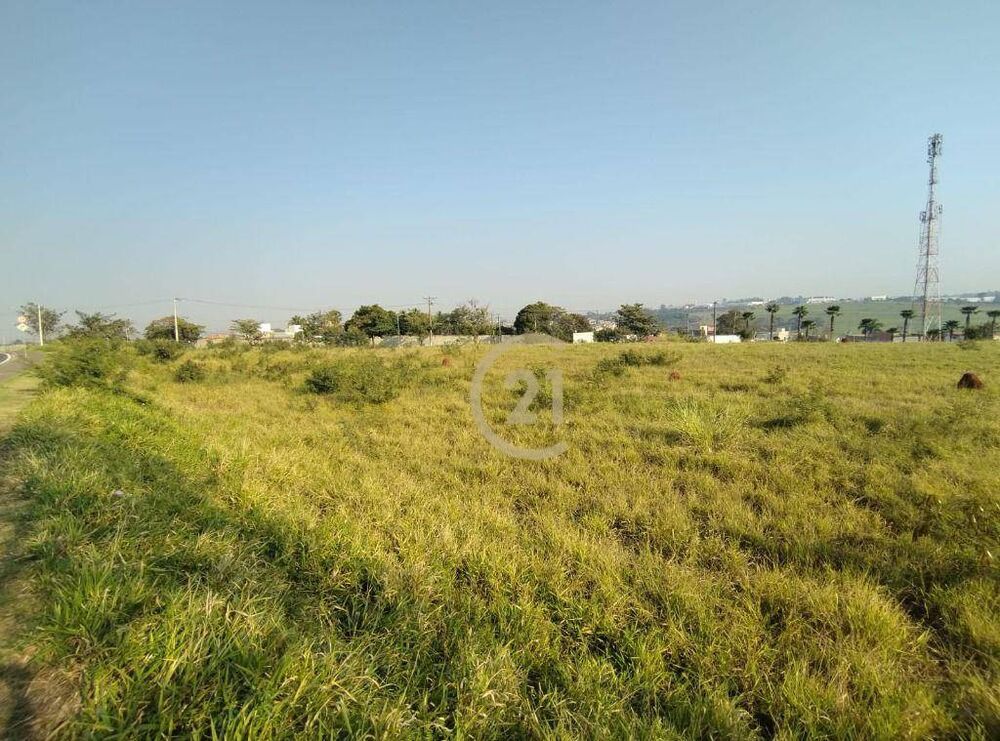 Terreno à venda, 39961M2 - Foto 10