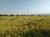 Terreno, 4 hectares - Foto 6