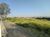 Terreno, 4 hectares - Foto 8