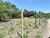 Terreno, 1000 m² - Foto 3