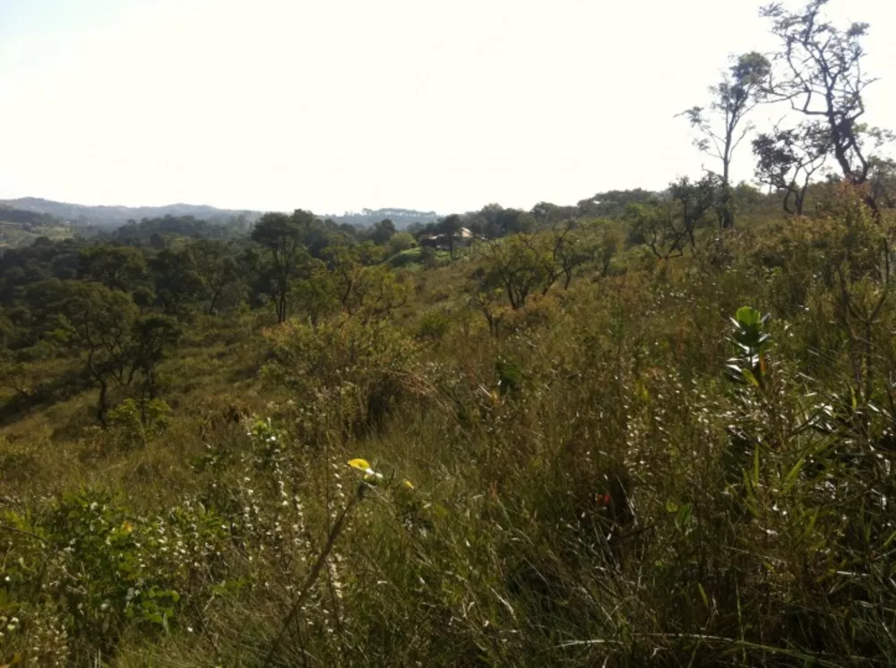 Terreno à venda, 5000m² - Foto 1