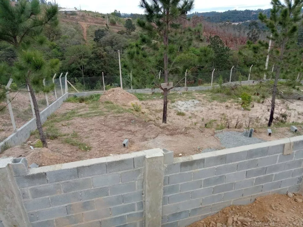 Fazenda à venda com 4 quartos, 2000m² - Foto 4