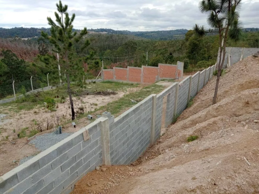 Fazenda à venda com 4 quartos, 2000m² - Foto 3