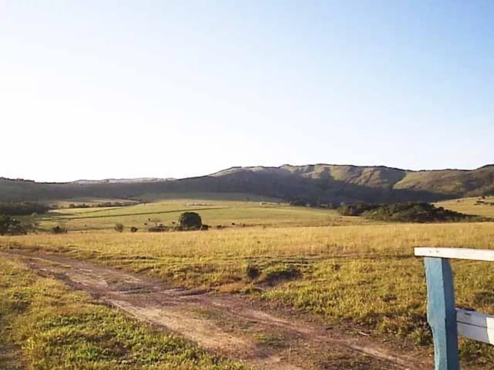 Fazenda à venda, 300m² - Foto 2