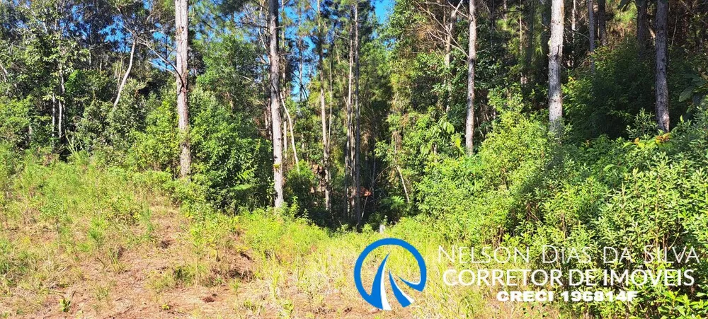 Terreno, 27 hectares - Foto 3