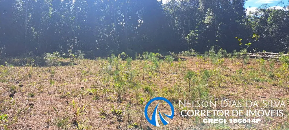 Terreno, 27 hectares - Foto 4