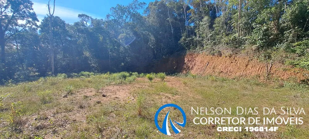 Terreno, 27 hectares - Foto 7