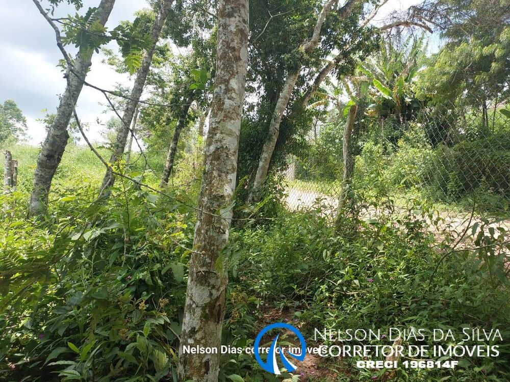 Terreno, 850 m² - Foto 4