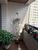 Apartamento, 3 quartos, 113 m² - Foto 1