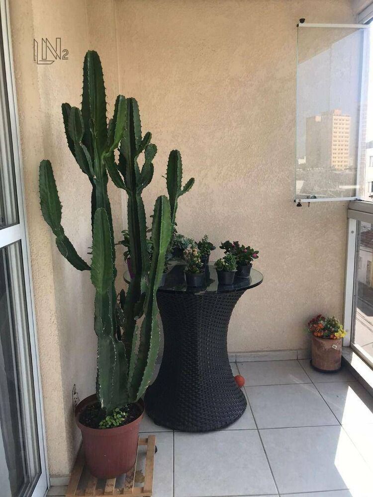 Apartamento, 4 quartos, 121 m² - Foto 5