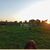 Terreno, 4 hectares - Foto 2