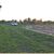 Terreno, 4 hectares - Foto 3