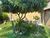 Casa, 4 quartos, 259 m² - Foto 16