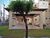 Apartamento, 3 quartos, 62 m² - Foto 4